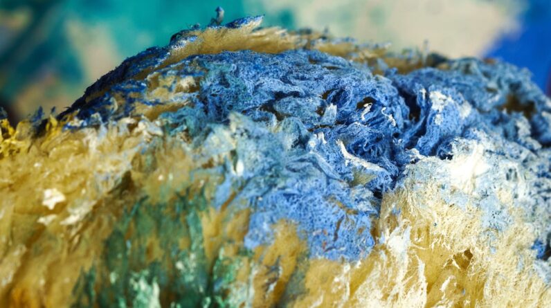Photo Sponge painting