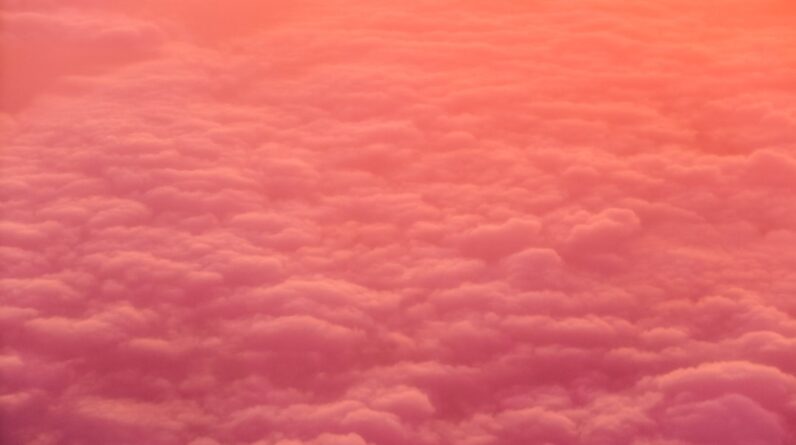 Photo Neutral color palette