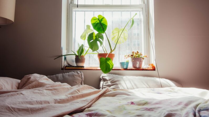 Photo Cozy bed