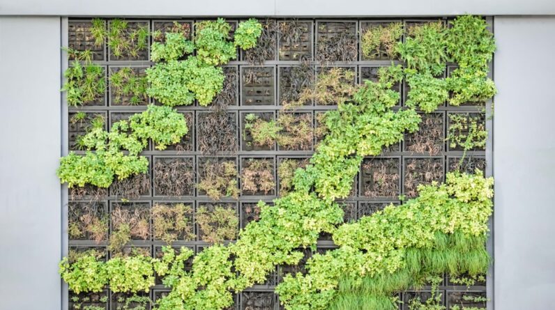 Photo Vertical garden