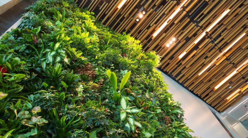 Photo Green wall
