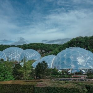 Photo Greenhouse interior