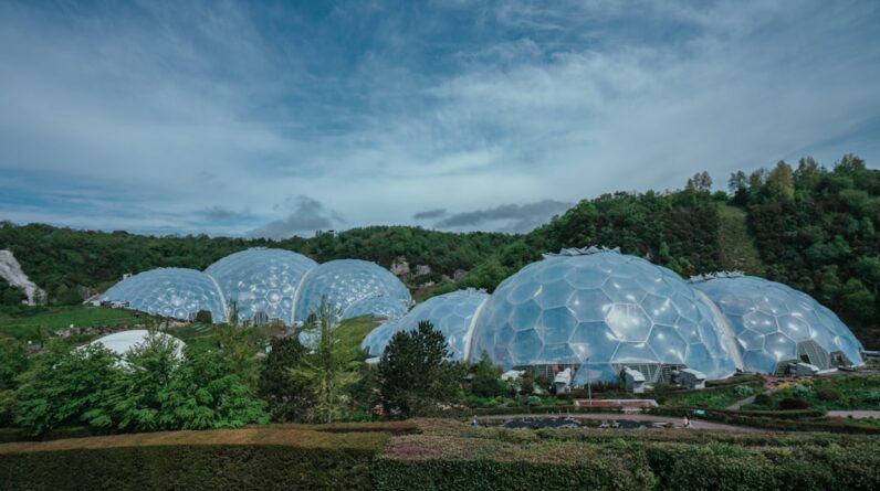 Photo Greenhouse interior