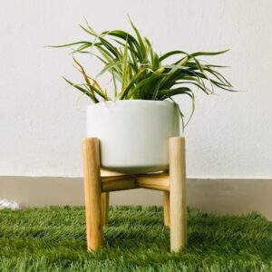 Photo "How Can I Incorporate Sustainable and Eco-friendly Design Practices Without Sacrificing Style?"