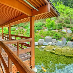 Photo "How Can I Incorporate Elements of Nature and Biophilic Design into My Home for Enhanced Well-being?"