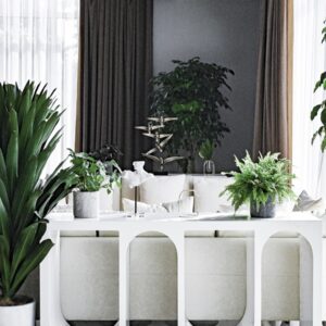 Photo "How Can I Balance the Desire for Trendy Decor with Timeless Design Elements?"