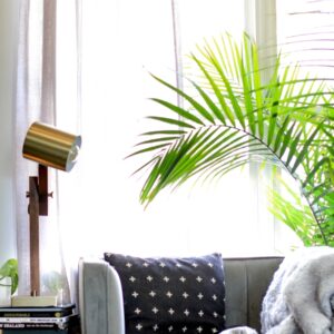 Photo "How Can I Use Interior Design to Make My Home Feel More Calming and Stress-reducing?"