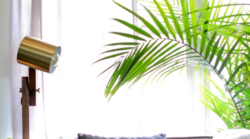 Photo "How Can I Use Interior Design to Make My Home Feel More Calming and Stress-reducing?"