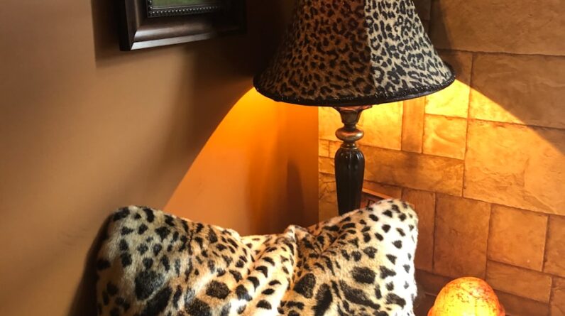 Photo Interior Design Service Plymouth Minnesota