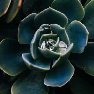 Photo Bamboo flooring