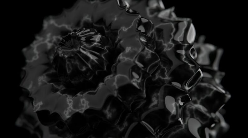 Photo Timeless Elegance