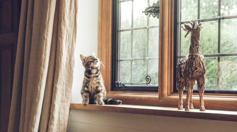 Photo Elegant living room