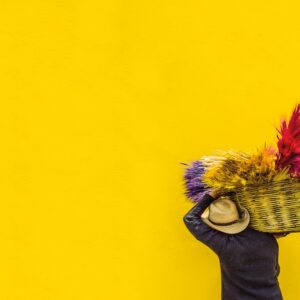 Photo Neutral color palette