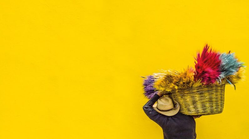 Photo Neutral color palette