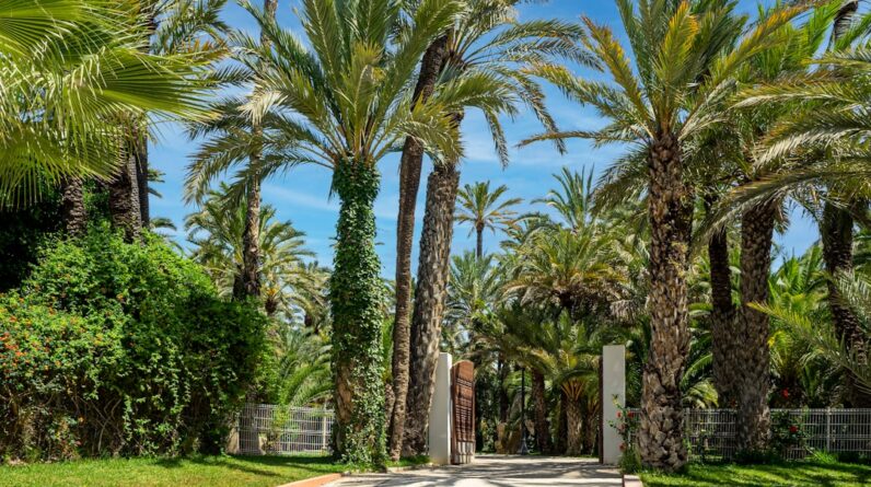 Photo Garden Oasis