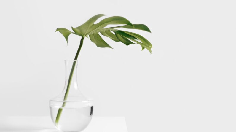 Photo Minimalist decor