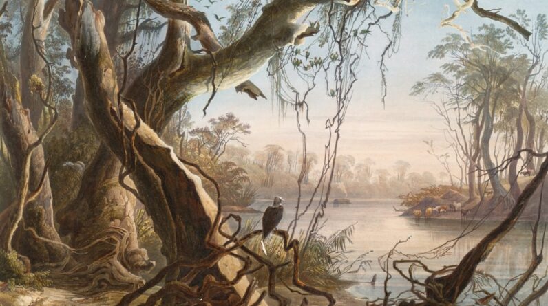 Photo Customized artwork