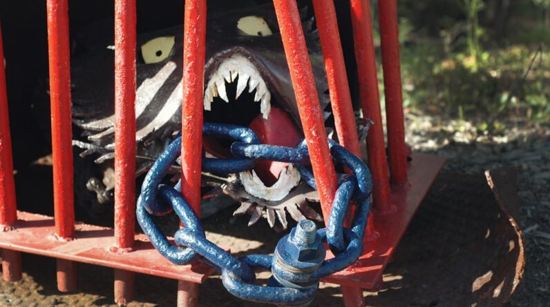 Photo Artwork display