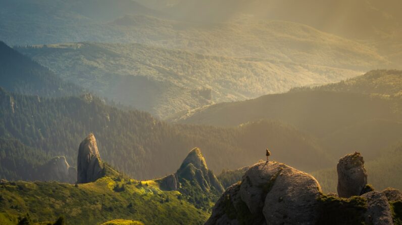 Photo Nature-inspired design