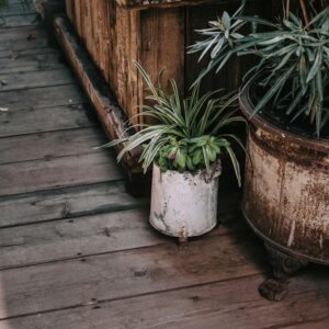 Photo Elegant furniture