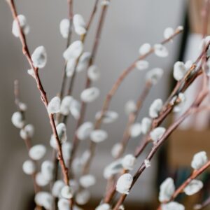 Photo Home Decorating