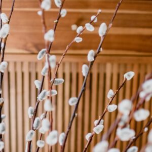 Photo Home Decorating