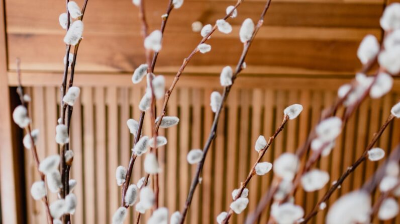 Photo Home Decorating