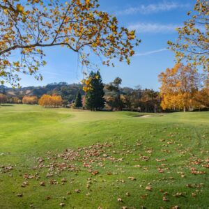 Photo Kitchen and Dining Room Design Westridge Tx